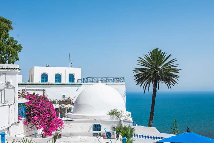 Сиди Бу Саид - бело-голубой город в Тунисе